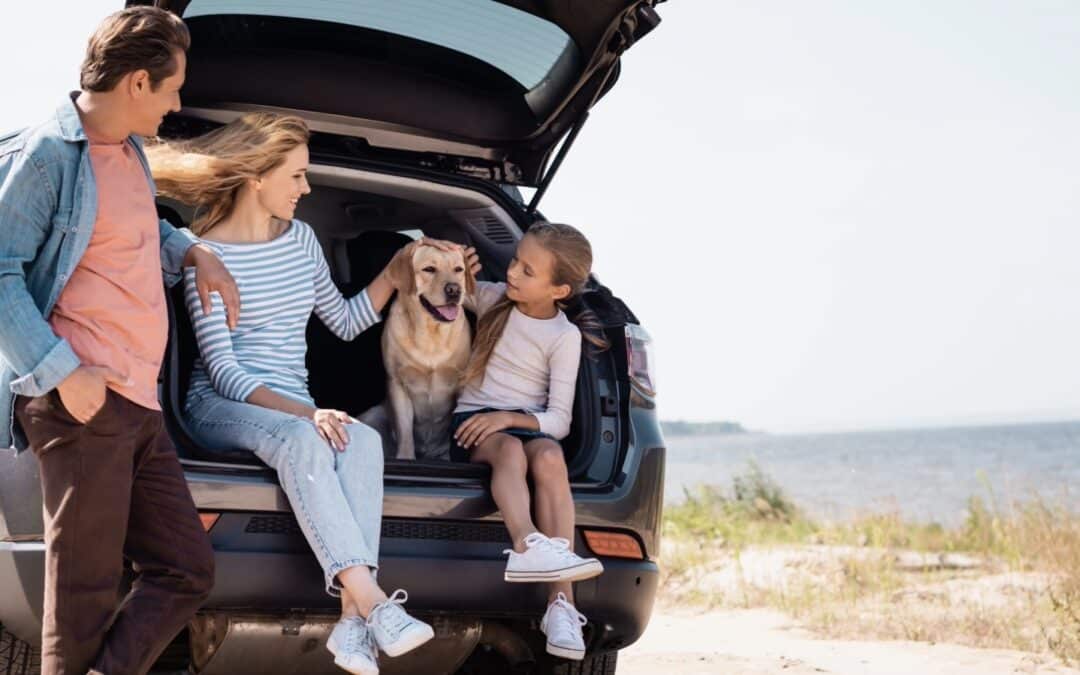 The Complete Guide to Road Trips with Your Dog