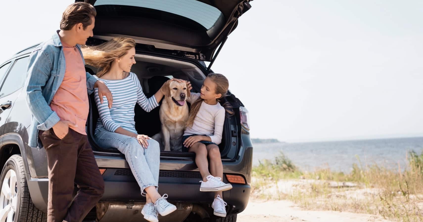 Complete Road Trip Guide for Dogs - Bark Busters