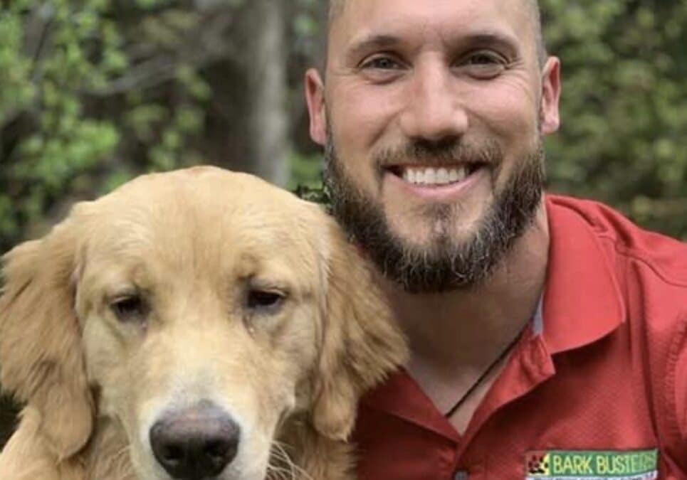 Meet Your Laval & Terrebonne Dog Trainer: Alexandre Messier