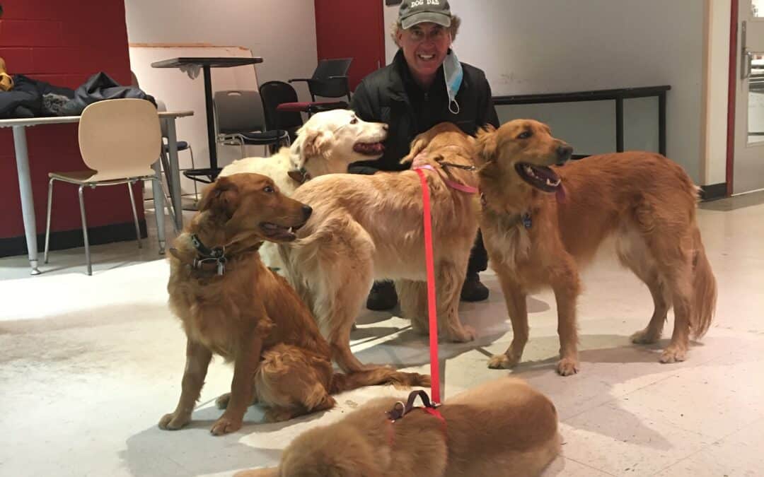 Meet Your Montreal Dog Trainer: Graham Smith