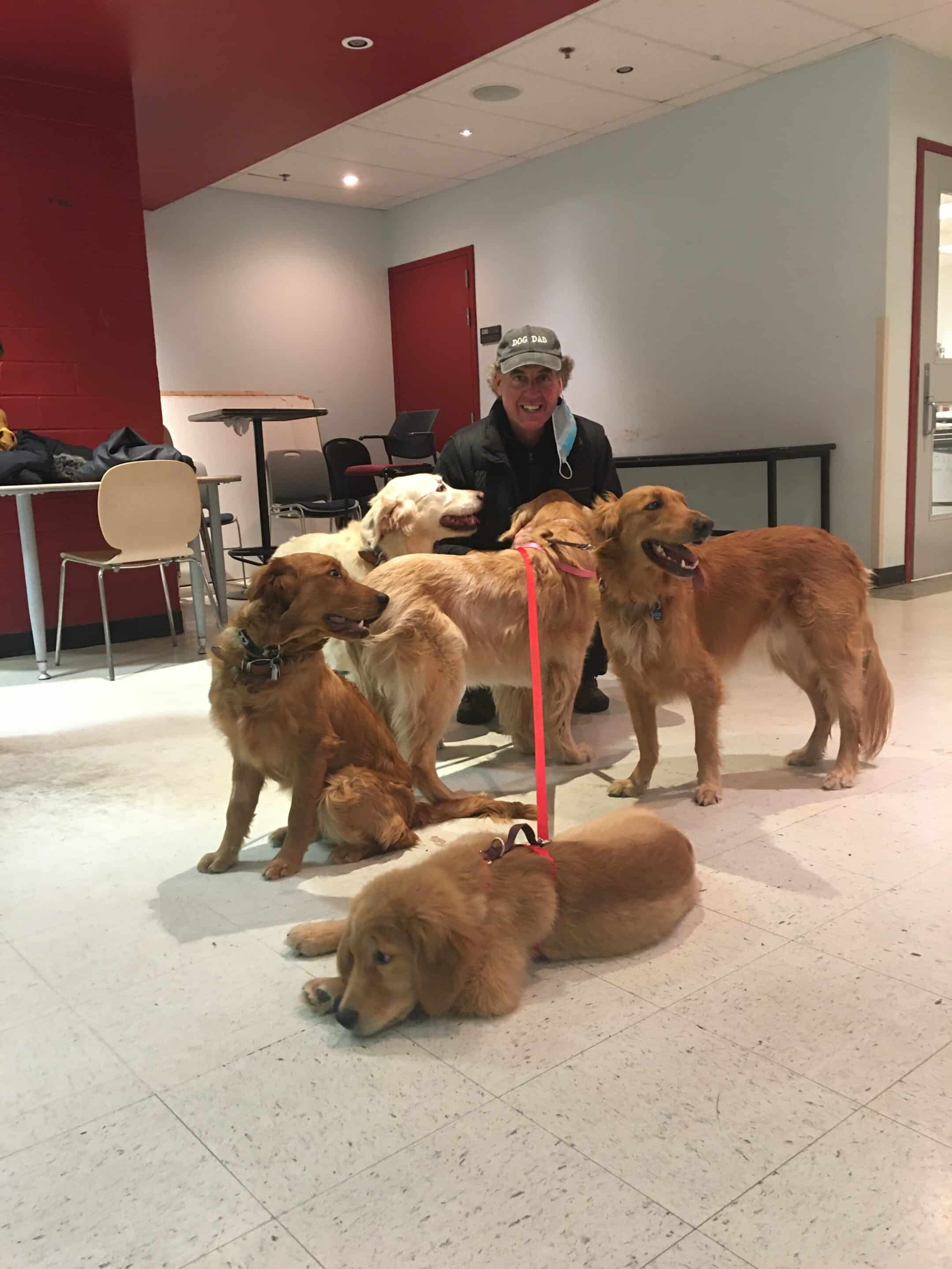Graham Smith - Dog Training Montreal Bark Busters