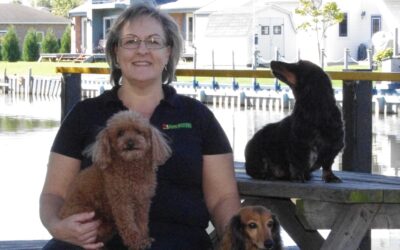 Meet Your London, St. Thomas & Strathroy Dog Trainer: Kelly Pollard
