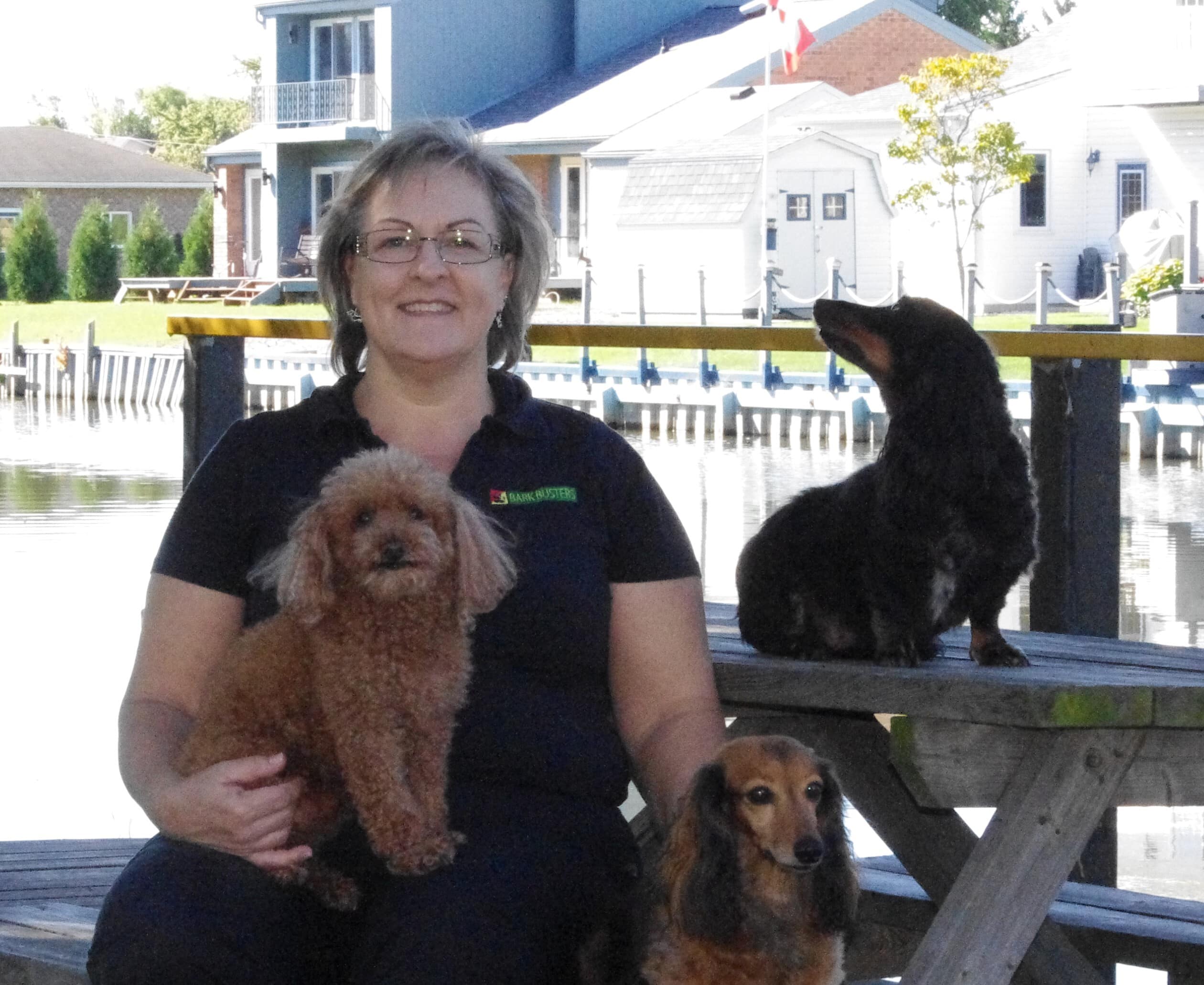 Kelly Pollard - Dog Training London Bark Busters