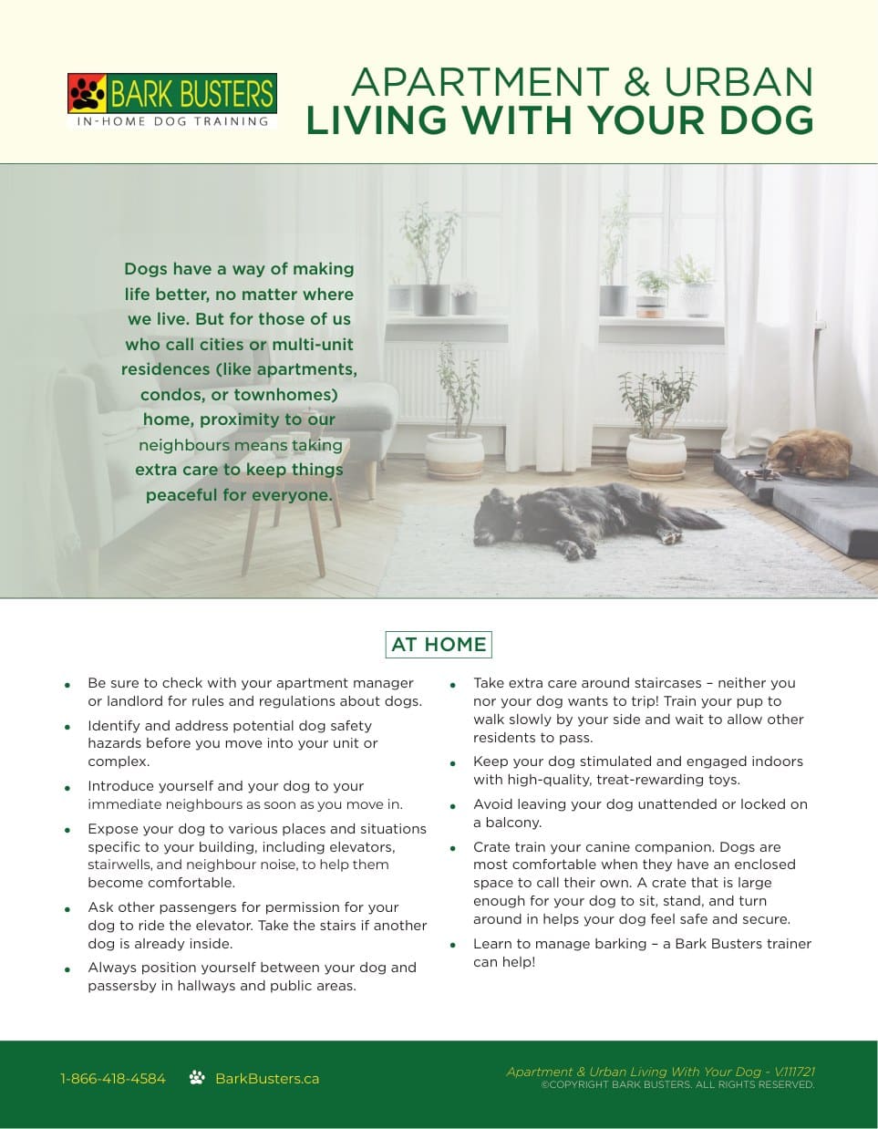 Apartment & Urban Living with Your Dog
