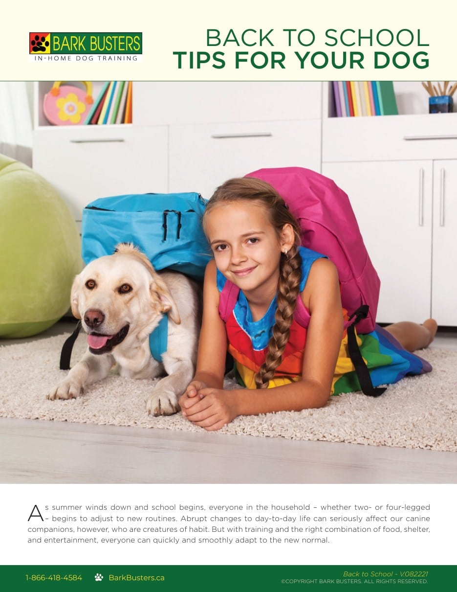 Back-to-School Tips