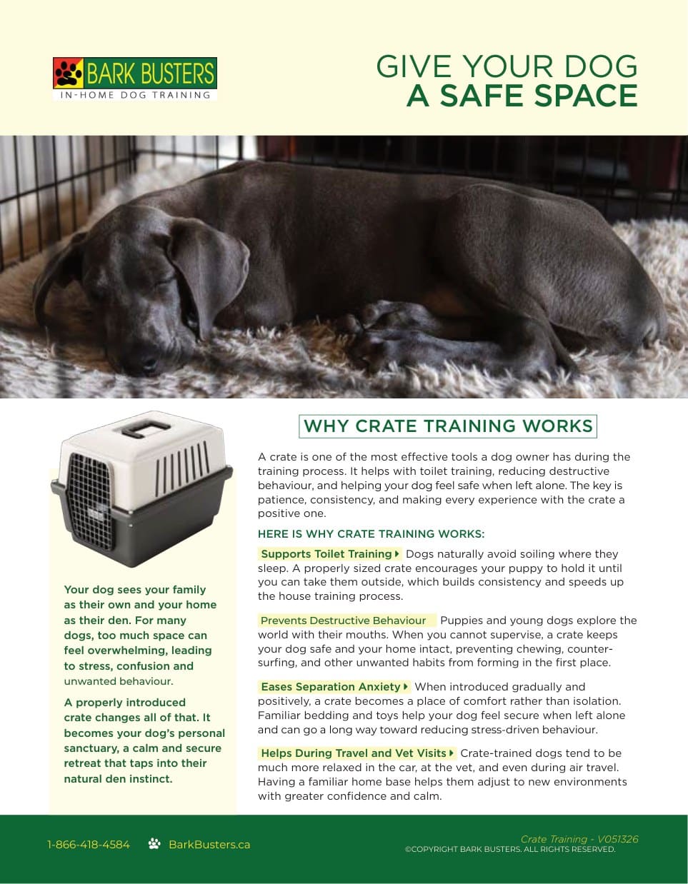 Crate Training, Give Your Dog a Safe Space