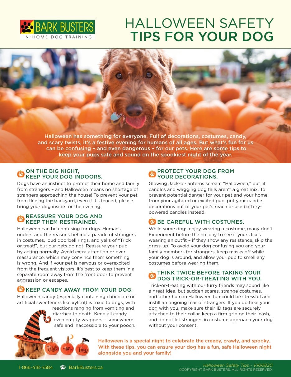 Halloween Safety Tips