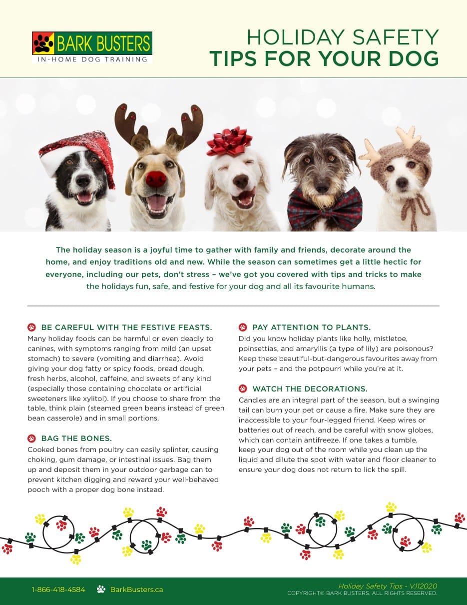 Holiday Safety Tips