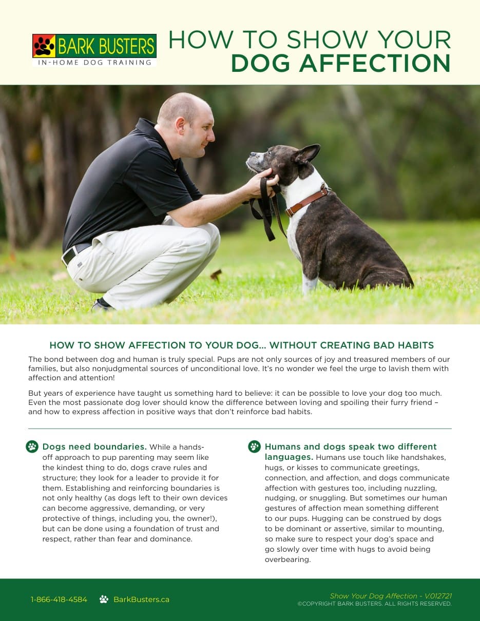 How to Show Your Dog Affection
