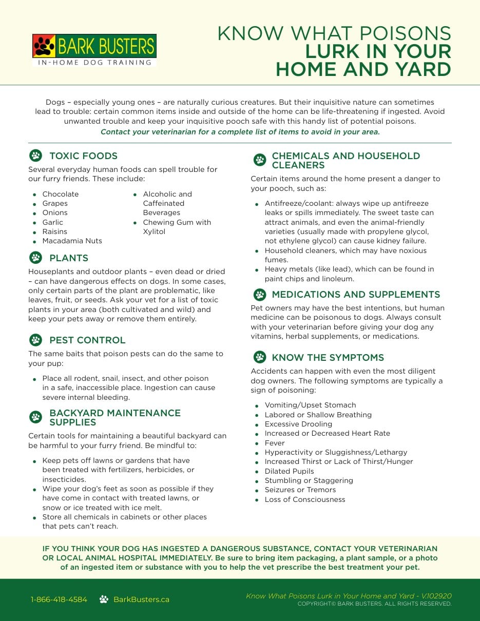 Know What Poisons Lurk in Your Home and Yard