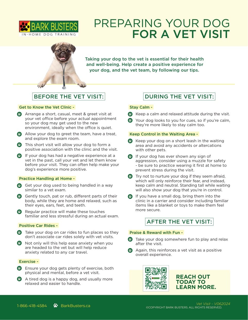 Preparing Your Dog for a Vet Visit