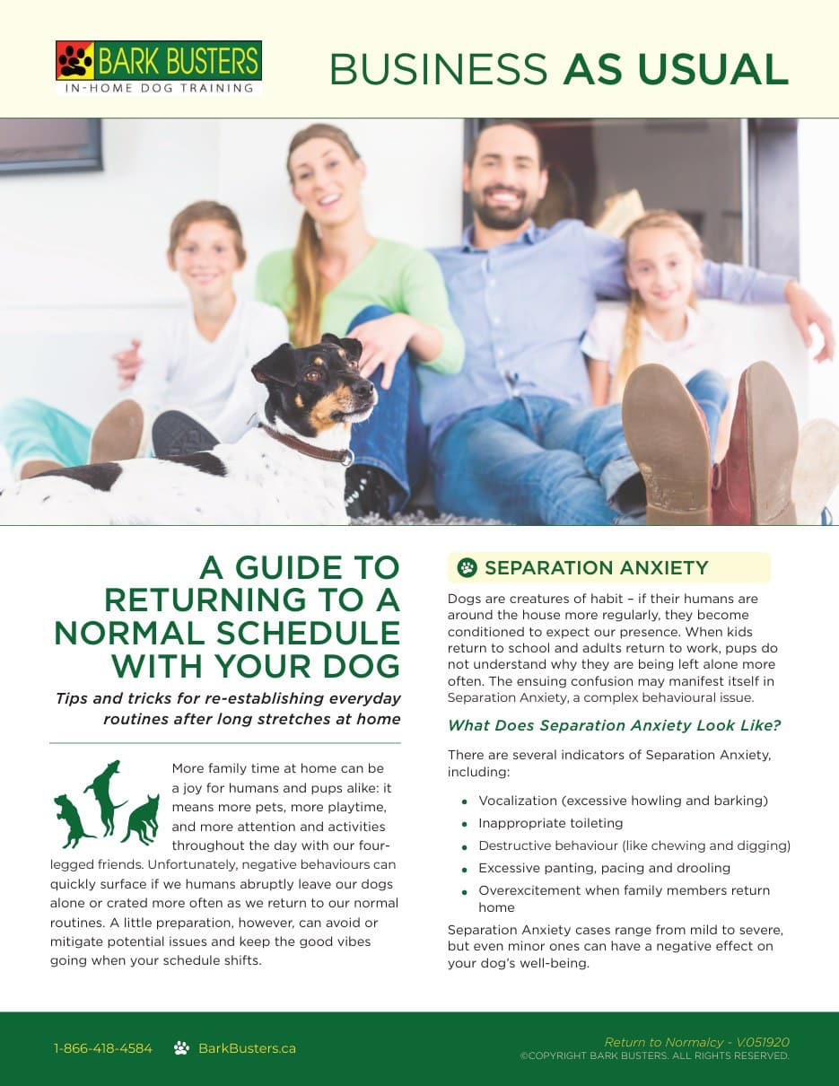 Returning to Normalcy