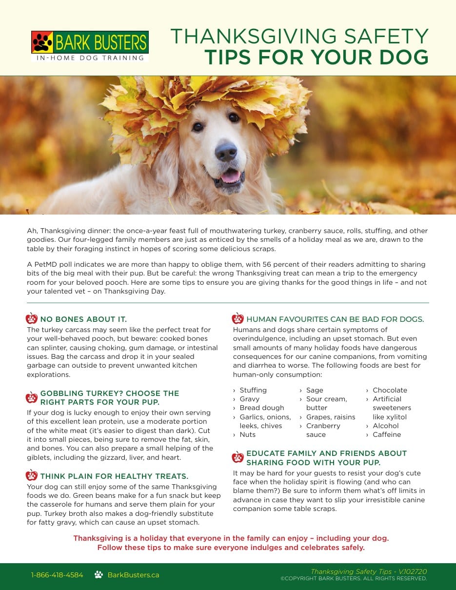 Thanksgiving Safety Tips