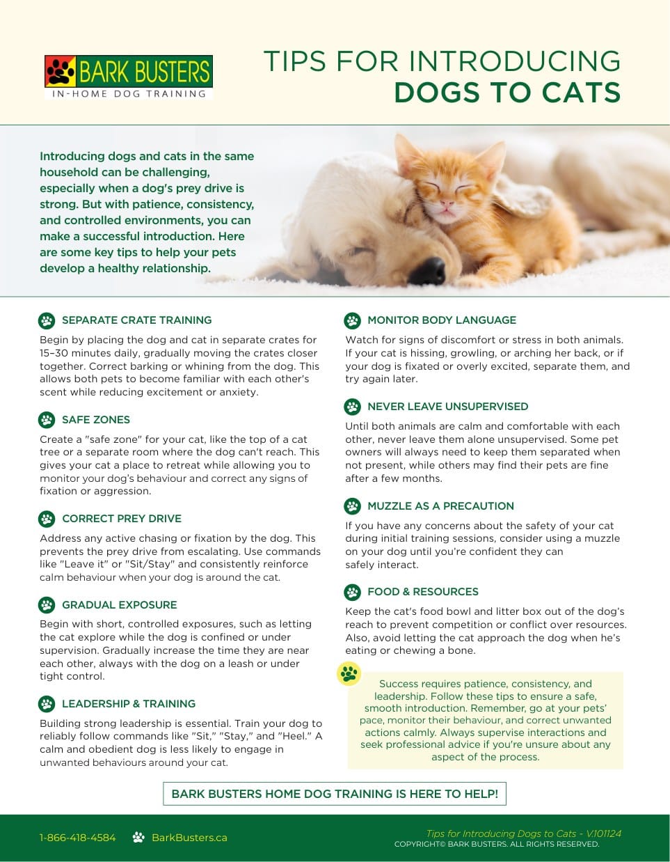 Tips for Introducing Dogs to Cats
