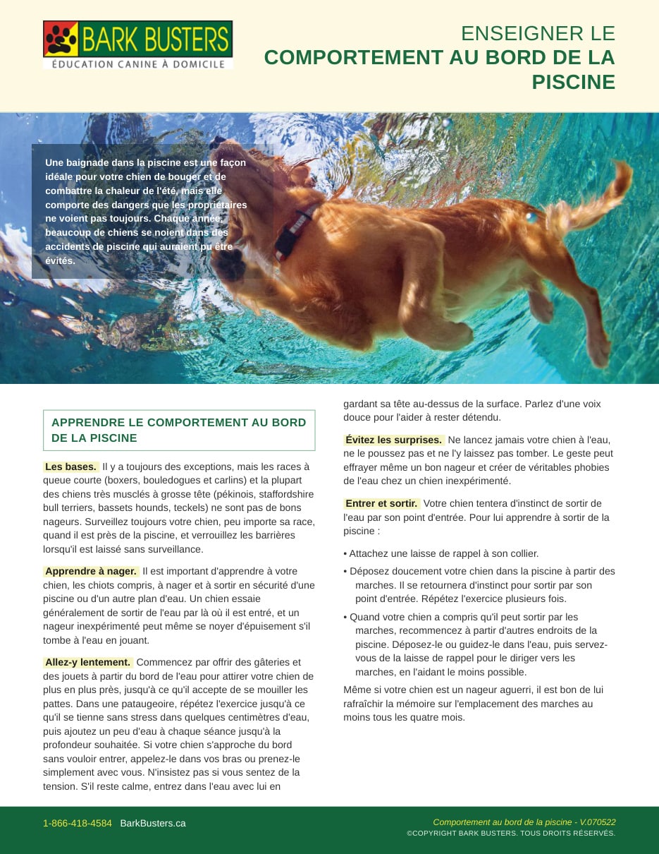 Pool and Poolside Safety