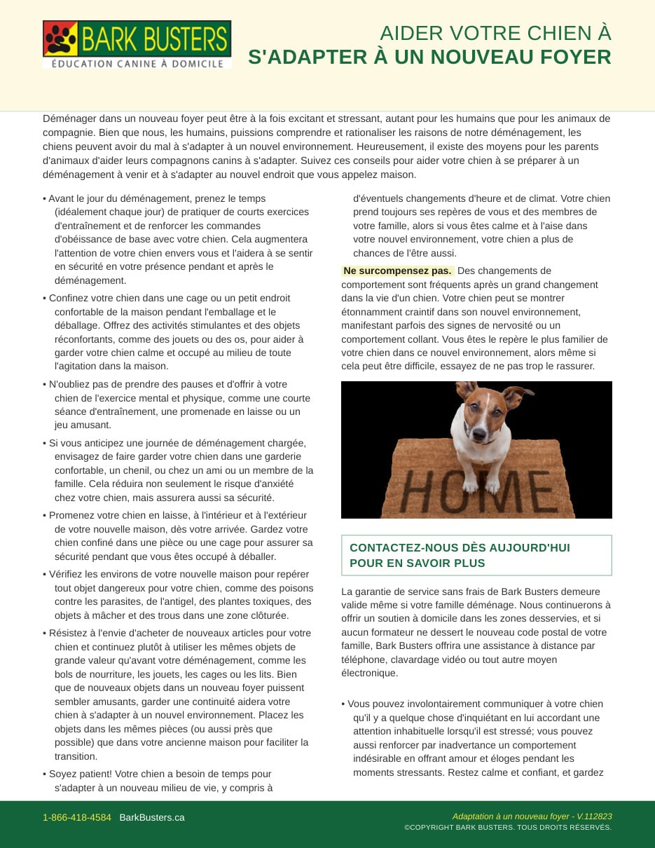 Helping Your Dog Adjust to a New Home
