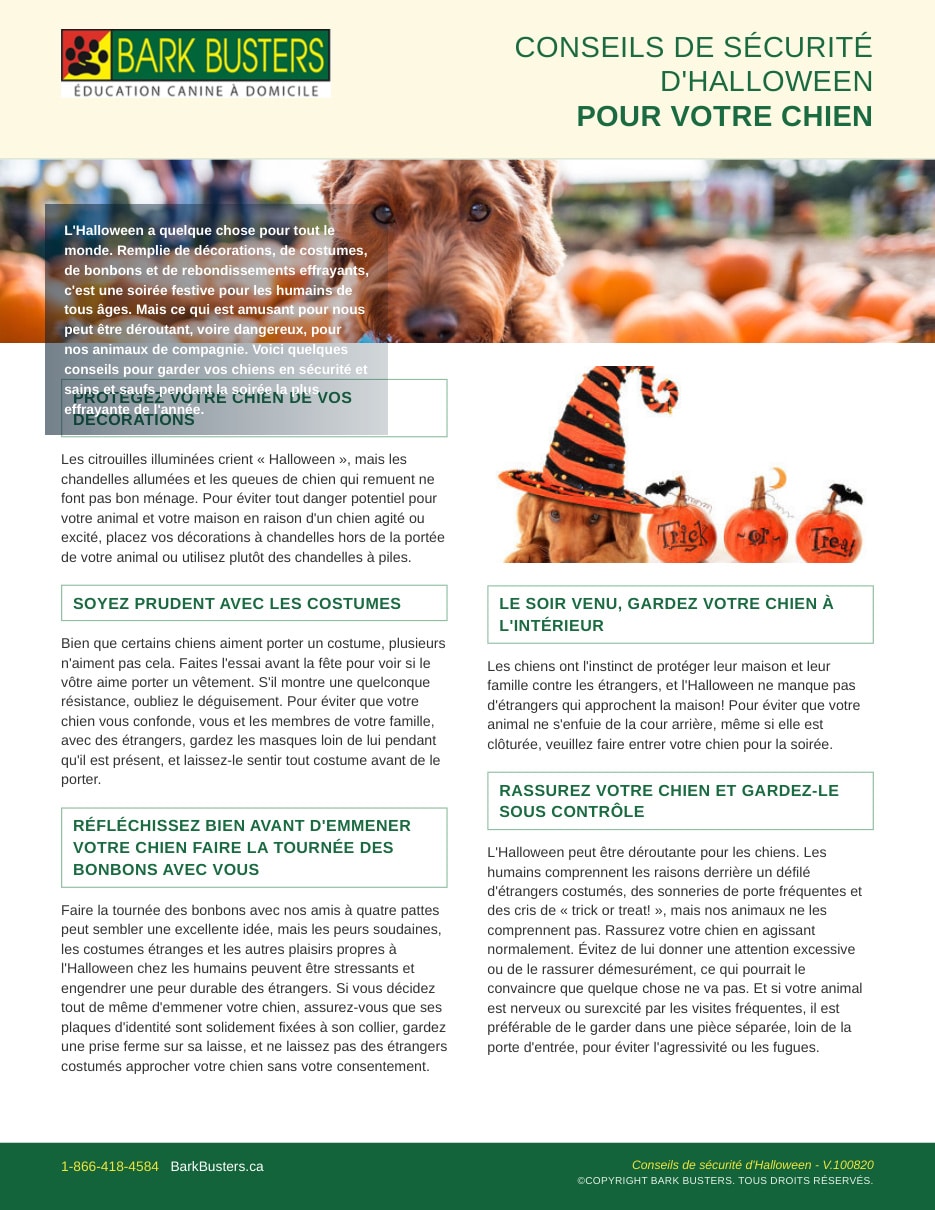 Halloween Safety Tips