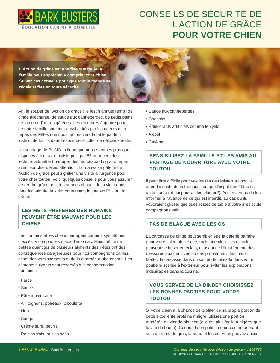 Thanksgiving Safety Tips