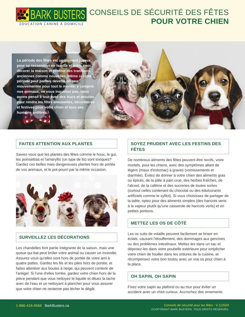 Holiday Safety Tips