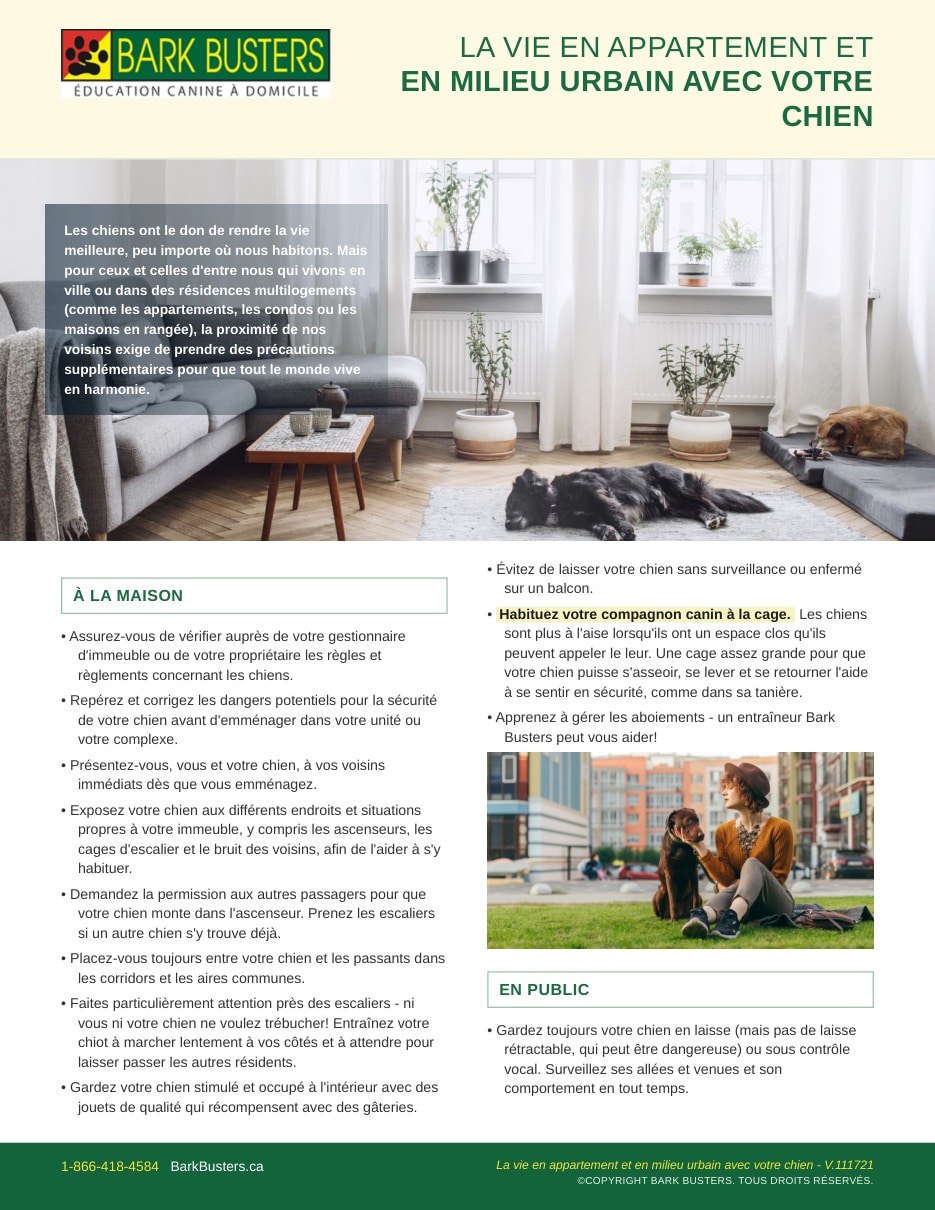 Apartment & Urban Living with Your Dog