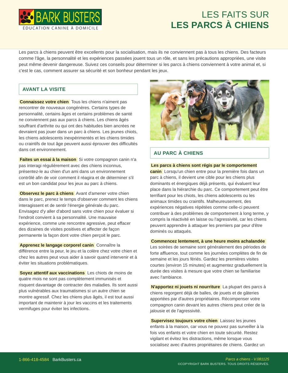 The Facts About Dog Parks