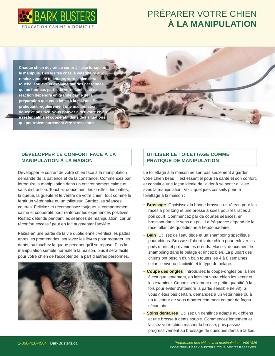Preparing Dogs for Handling