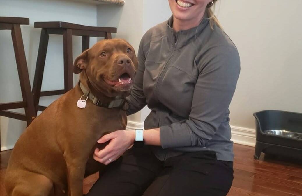 Meet Your Scarborough and Durham Dog Trainer: Juliet Prey