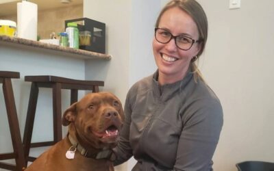 Meet Your Scarborough and Durham Dog Trainer: Juliet Prey