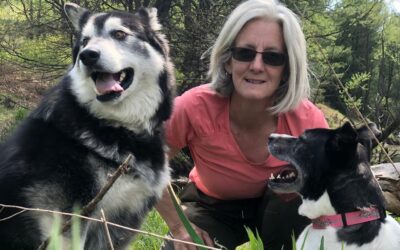 Meet Your Sudbury and North Bay Dog Trainer: Lori Johnston