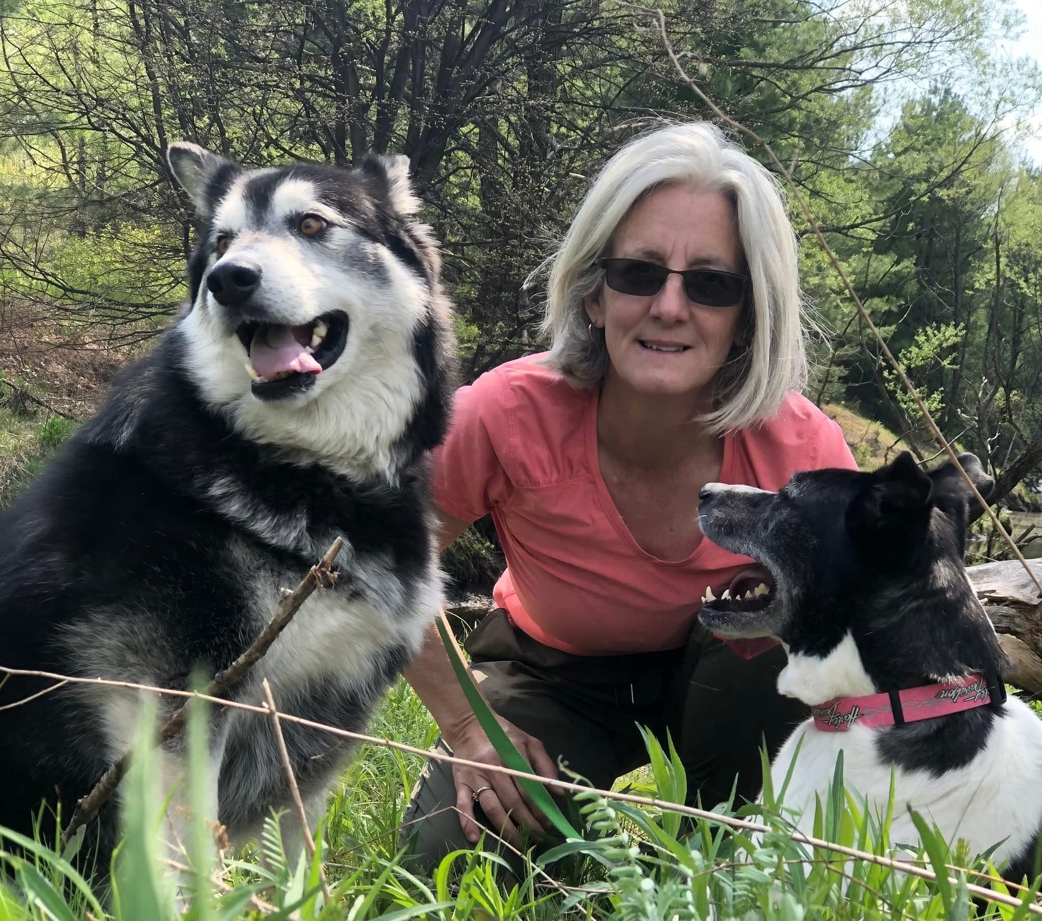 Lori Johnston - Dog Training Sudbury and North Bay Bark Busters